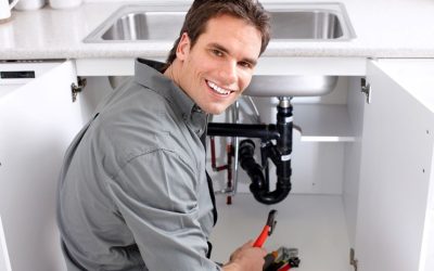 Apex Plumbing Services
