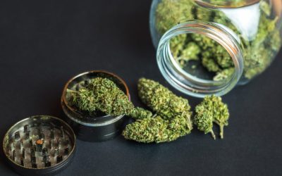 The Phinest Buds